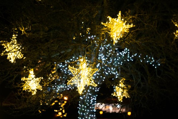 Kviečiame Naujuosius sutikti be fejerverkų 