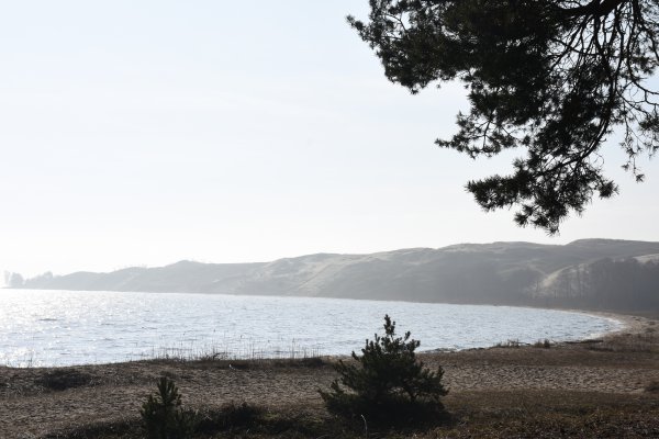 Kuršių nerijos valdymo planas: skelbiama visuomenės apklausa