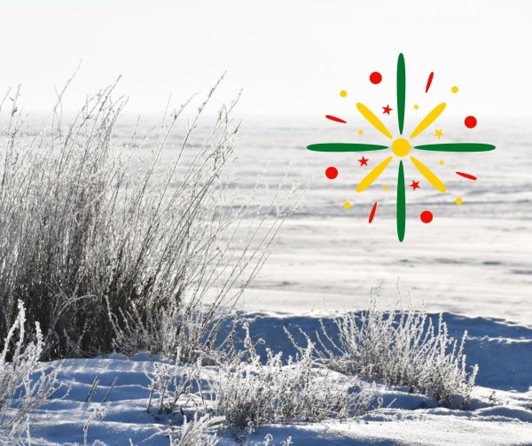 Mero sveikinimas Lietuvos Valstybės atkūrimo dienos proga