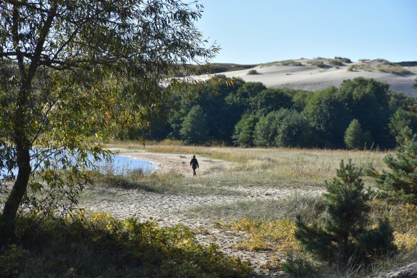 Kvietimas menininkams: priimamos paraiškos Neringos savivaldybės meno stipendijai gauti