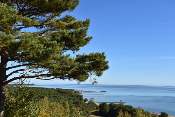 Karinio rengimo lauko taktikos pratybos: vasario 17-birželio 30 dienomis 