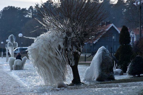 Neringoje – „Stintapūkio“ šventė: įvažiavimas visą parą nemokamas 