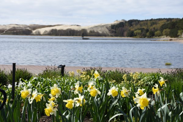 Įsigalioja įvažiavimo į Neringą lengvata lengviesiems automobiliams 