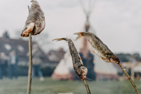 Marių kvapas, žuvies skonis ir virtuvės meistrai krante – „Žiobrinės“ kviečia į Neringą