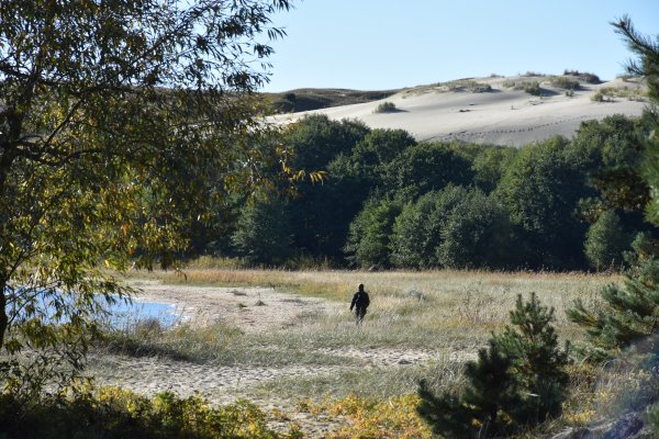 Pasaulinė turizmo diena Neringoje: nemokamas įvažiavimas ir renginių įvairovė 