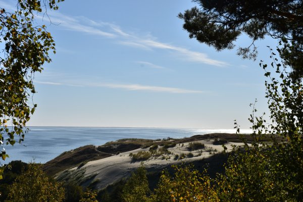 Sveikinimai Kultūros dienos proga 