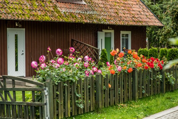 Vokiečių kultūros savaitgalis Neringoje: panirkite į tradicijas, istoriją ir kūrybą