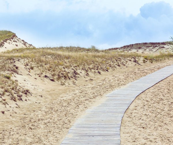 Kviečiame lapkričio 24–28 dienomis įsitraukti į mokymosi procesą su visa Lietuva