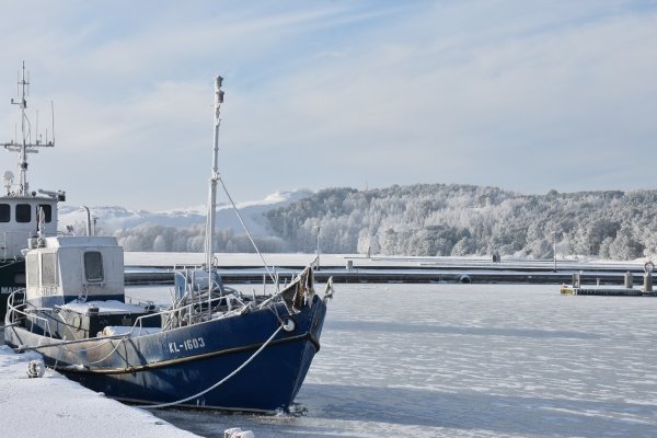 Vienai parai įsigalioja lengvata įvažiavimui į Neringą: vyksta „Stintapūkio“ šventė