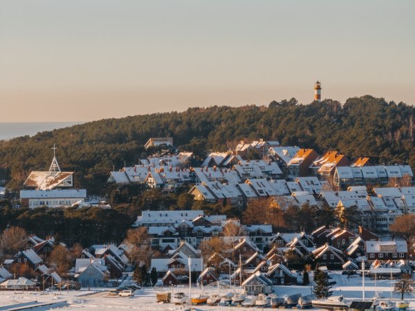M. L. Rėzos metams skirto konkurso dalyvis Pijus Opera: „būti naujai atrastam po 200 metų teikia...