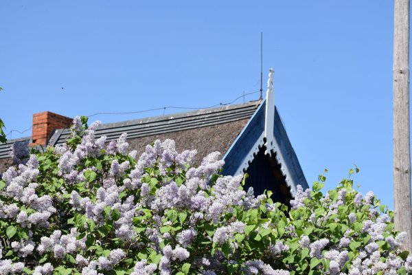 Neringos architektūrinio paveldo išsaugojimui – savivaldybės parama