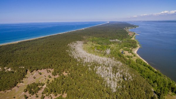 Vyks karinio rengimo lauko taktikos pratybos