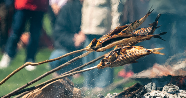 Eismo pakeitimai „Žiobrinių“ šventės metu 