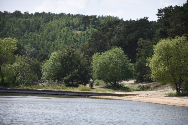 Gegužės 12-ąją Neringoje – nemokama atliekų surinkimo akcija