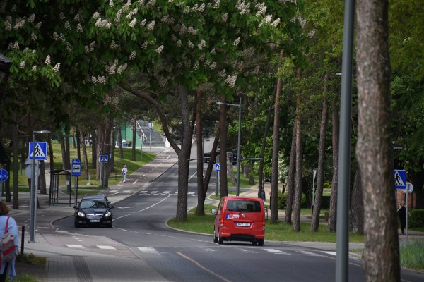 Dėmesio: dalį gyventojų transporto priemonių statymo leidimų reikia atnaujinti