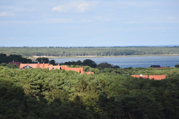 Mero sveikinimas Vietos savivaldos dienos proga
